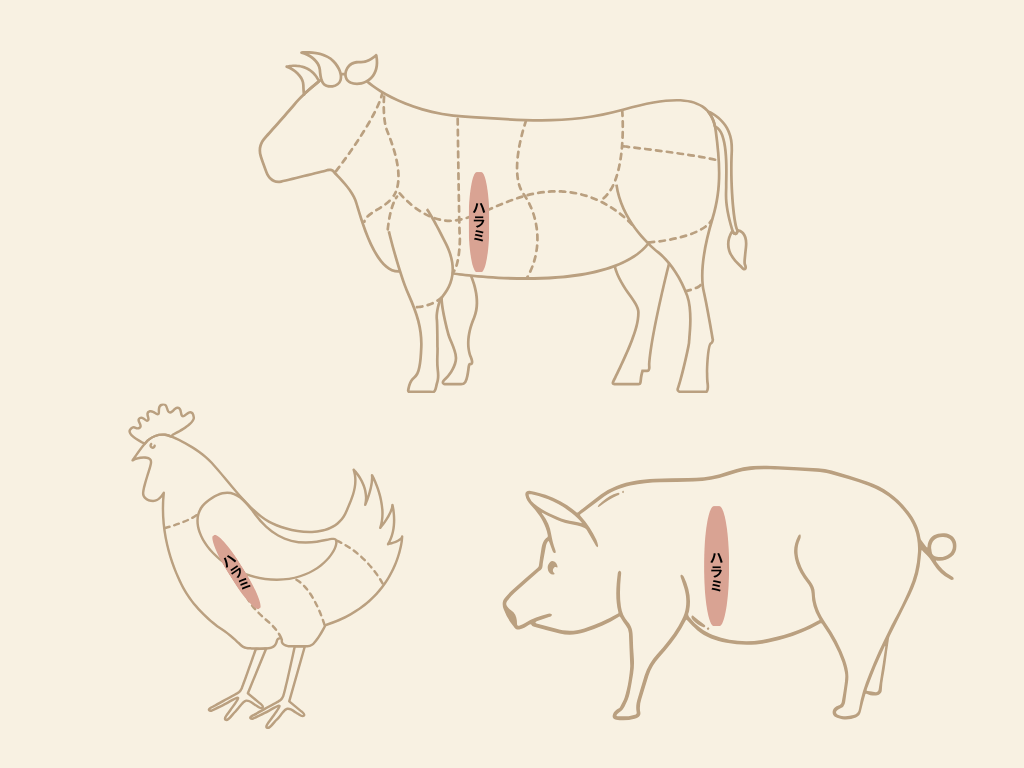 牛と豚と鶏のハラミの位置